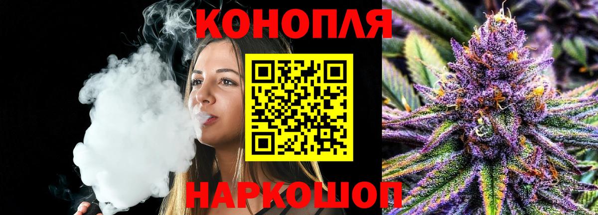 МАРИХУАНА план  Вход с VPN  Конопля сатива  Холмск 